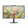 Monitor Lenovo ThinkVision T2424p 23,8" Full HD IPS LCD, A+