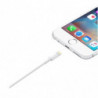 Cable 1M Lightning - USB Carga y datos para Apple iPhone y Ipad - 1º Calidad