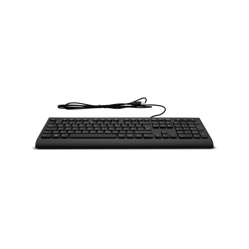 Teclado Medion KB313U USB Keyboard QWERTY, Negro