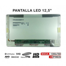 PANTALLA PORTÁTIL LED 12.5 B125XW02